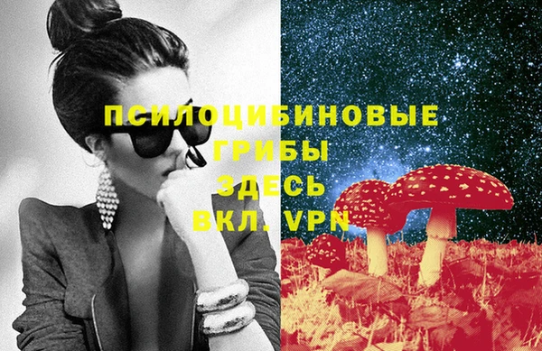 Альфа ПВП Балахна