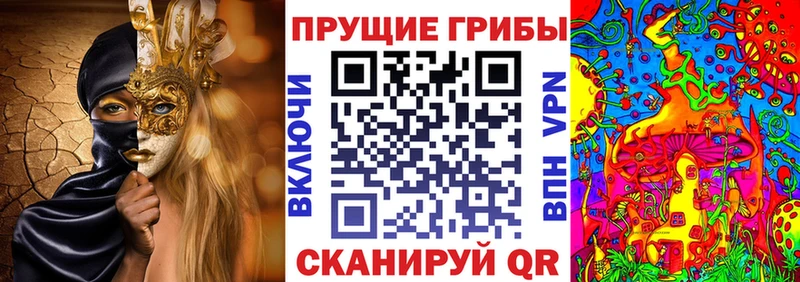 где можно купить наркотик  Переславль-Залесский  Псилоцибиновые грибы GOLDEN TEACHER 